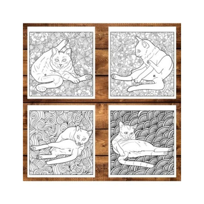 Carti si Birotica - Carti - Carti pentru copii - Carti de colorat - Carte de colorat pentru relaxare si antistres, 30 de ilustratii, Funduri de pisici, 66 pagini, A5 - Infinity.ro