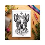 Carti si Birotica - Carti - Carti pentru copii - Carti de colorat - Carte de colorat pentru relaxare si antistres, 38 de ilustratii, Majestic Dogs, 82 pagini, A5 - Infinity.ro