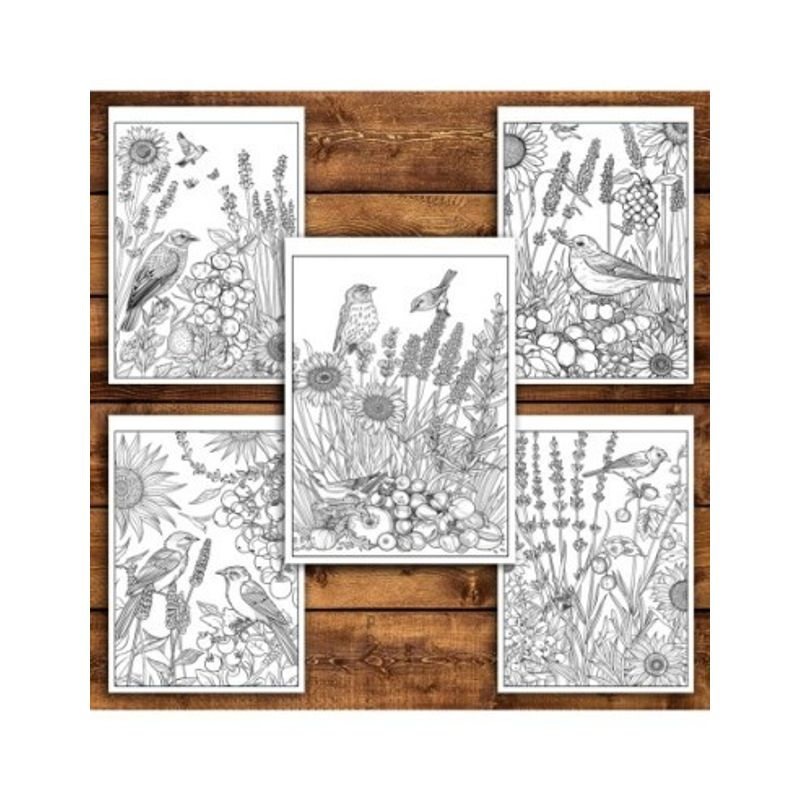 Carti si Birotica - Carti - Carti pentru copii - Carti de colorat - Carte de colorat pentru relaxare si antistres, 40 de ilustratii, Frumusetile Naturii, 86 pagini, A5 - Infinity.ro