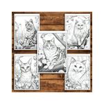 Carti si Birotica - Carti - Carti pentru copii - Carti de colorat - Carte de colorat pentru relaxare si antistres, 40 de ilustratii, Spring Cats, 86 pagini, A5 - Infinity.ro