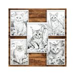 Carti si Birotica - Carti - Carti pentru copii - Carti de colorat - Carte de colorat pentru relaxare si antistres, 40 de ilustratii, Spring Cats, 86 pagini, A5 - Infinity.ro