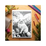 Carti si Birotica - Carti - Carti pentru copii - Carti de colorat - Carte de colorat pentru relaxare si antistres, 40 de ilustratii, Spring Cats, 86 pagini, A5 - Infinity.ro