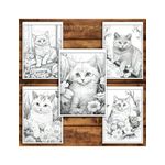 Carti si Birotica - Carti - Carti pentru copii - Carti de colorat - Carte de colorat pentru relaxare si antistres, 40 de ilustratii, Spring Cats, 86 pagini, A5 - Infinity.ro