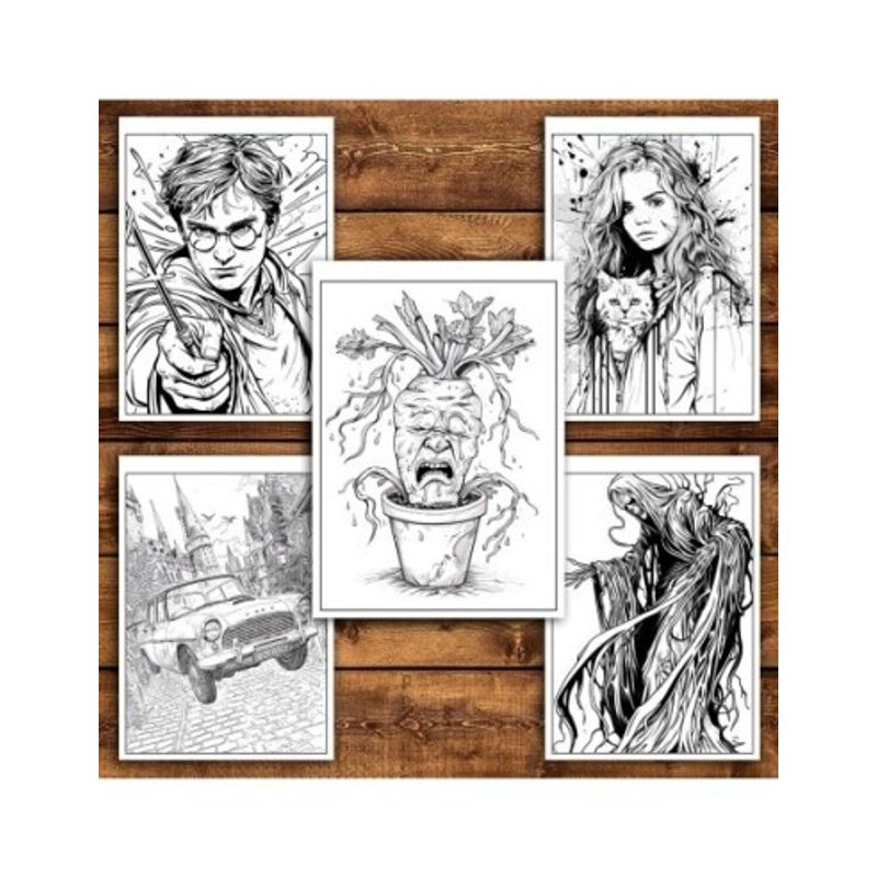 Carti si Birotica - Carti - Carti pentru copii - Carti de colorat - Carte de colorat pentru relaxare si antistres, 46 de ilustratii, Minunile din Hogwarts, 98 pagini, A5 - Infinity.ro