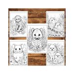 Carti si Birotica - Carti - Carti pentru copii - Carti de colorat - Carte de colorat pentru relaxare si antistres, 50 de ilustratii, Animale dragute, 106 pagini, A5 - Infinity.ro