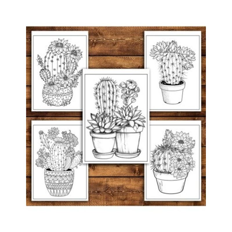 Carti si Birotica - Carti - Carti pentru copii - Carti de colorat - Carte de colorat pentru relaxare si antistres, 50 de ilustratii, Cactusi - Volumul I, 106 pagini, A5 - Infinity.ro
