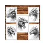 Carti si Birotica - Carti - Carti pentru copii - Carti de colorat - Carte de colorat pentru relaxare si antistres, 50 de ilustratii, Dragoni - Volumul II, 106 pagini, A5 - Infinity.ro