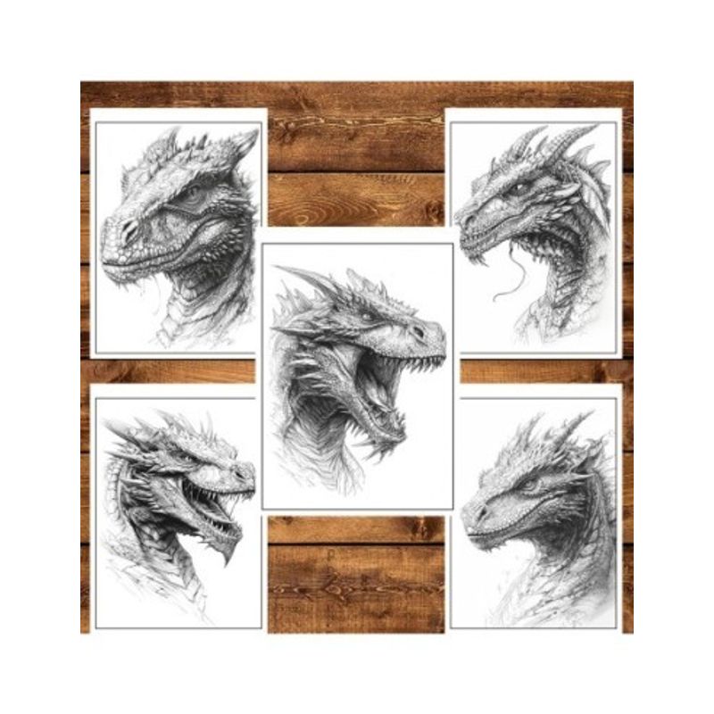 Carti si Birotica - Carti - Carti pentru copii - Carti de colorat - Carte de colorat pentru relaxare si antistres, 50 de ilustratii, Dragoni - Volumul II, 106 pagini, A5 - Infinity.ro