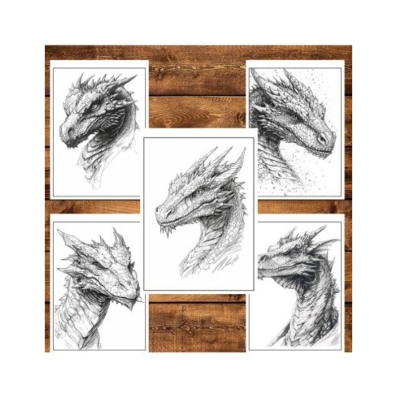 Carti si Birotica - Carti - Carti pentru copii - Carti de colorat - Carte de colorat pentru relaxare si antistres, 50 de ilustratii, Dragoni - Volumul II, 106 pagini, A5 - Infinity.ro