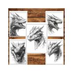 Carti si Birotica - Carti - Carti pentru copii - Carti de colorat - Carte de colorat pentru relaxare si antistres, 50 de ilustratii, Dragoni - Volumul II, 106 pagini, A5 - Infinity.ro