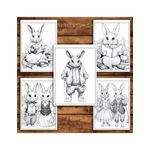 Carti si Birotica - Carti - Carti pentru copii - Carti de colorat - Carte de colorat pentru relaxare si antistres, 50 de ilustratii, Fantasy Rabbits, 106 pagini, A5 - Infinity.ro