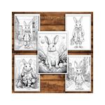 Carti si Birotica - Carti - Carti pentru copii - Carti de colorat - Carte de colorat pentru relaxare si antistres, 50 de ilustratii, Fantasy Rabbits, 106 pagini, A5 - Infinity.ro
