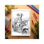 Carti si Birotica - Carti - Carti pentru copii - Carti de colorat - Carte de colorat pentru relaxare si antistres, 50 de ilustratii, Fantasy Dogs, 106 pagini, A5 - Infinity.ro
