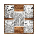 Carti si Birotica - Carti - Carti pentru copii - Carti de colorat - Carte de colorat pentru relaxare si antistres, 50 de ilustratii, O lume halucinanta - Volumul I, 106 pagini, A5 - Infinity.ro