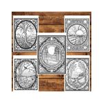 Carti si Birotica - Carti - Carti pentru copii - Carti de colorat - Carte de colorat pentru relaxare si antistres, 50 de ilustratii, Vitralii cu natura, 106 pagini, A5 - Infinity.ro