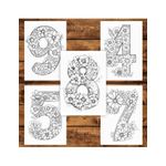 Carti si Birotica - Carti - Carti pentru copii - Carti de colorat - Carte de colorat, 30 de ilustratii Numere si Flori, 66 pagini, A5 - Infinity.ro