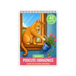 Carti si Birotica - Carti - Carti pentru copii - Carti de colorat - Carte de colorat, 42 de ilustratii Pisicute Obraznice - Volumul I, 90 pagini, A5 - Infinity.ro