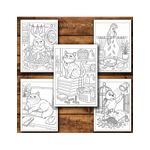 Carti si Birotica - Carti - Carti pentru copii - Carti de colorat - Carte de colorat, 50 de ilustratii Animale cu caracter - Volumul II, 106 pagini, A5 - Infinity.ro