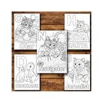 Carti si Birotica - Carti - Carti pentru copii - Carti de colorat - Carte de colorat, 50 de ilustratii Invatam ABC-darul - Limba romana, 106 pagini, A5 - Infinity.ro
