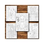 Carti si Birotica - Carti - Carti pentru copii - Carti de colorat - Carte de colorat, 50 de ilustratii Pisici Malefice - Volumul II, 106 pagini, A5 - Infinity.ro