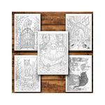 Carti si Birotica - Carti - Carti pentru copii - Carti de colorat - Carte de colorat, 50 de ilustratii Pisici Malefice - Volumul II, 106 pagini, A5 - Infinity.ro