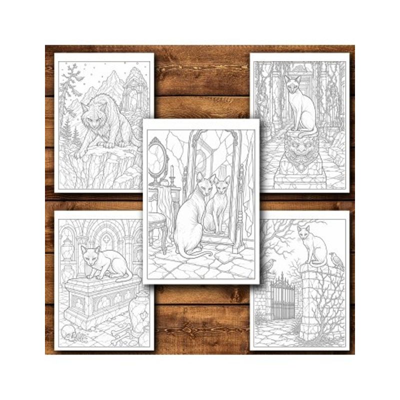 Carti si Birotica - Carti - Carti pentru copii - Carti de colorat - Carte de colorat, 50 de ilustratii Pisici Malefice - Volumul I, 106 pagini, A5 - Infinity.ro