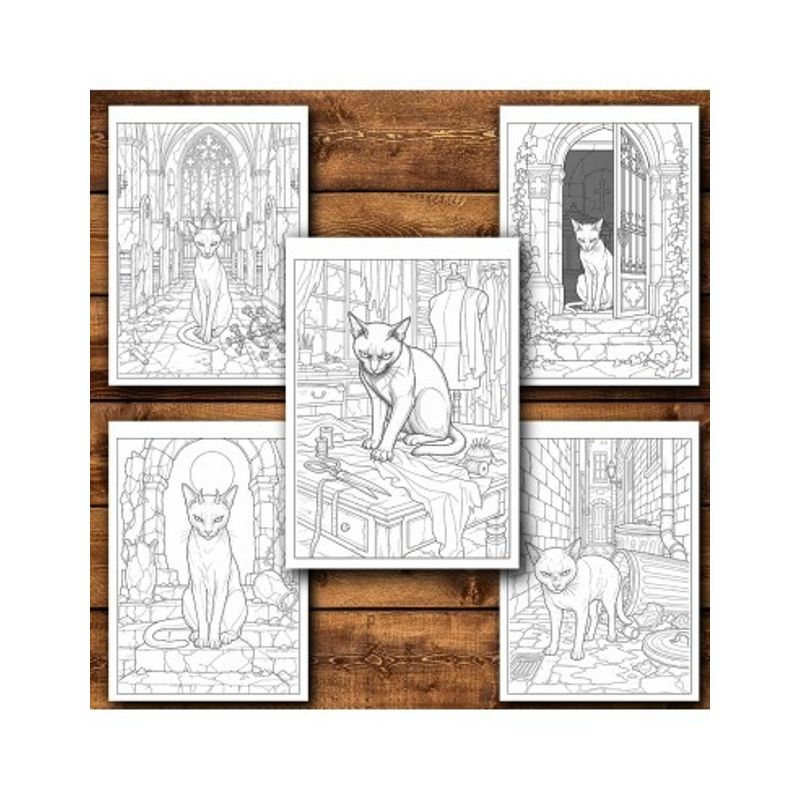 Carti si Birotica - Carti - Carti pentru copii - Carti de colorat - Carte de colorat, 50 de ilustratii Pisici Malefice - Volumul II, 106 pagini, A5 - Infinity.ro