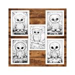 Carti si Birotica - Carti - Carti pentru copii - Carti de colorat - Carte de colorat, 50 de ilustratii, Bebe bufnite, 106 pagini, A5 - Infinity.ro