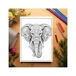 Carti si Birotica - Carti - Carti pentru copii - Carti de colorat - Carte de colorat, 50 de ilustratii, Animale Mandala, 106 pagini, A5 - Infinity.ro