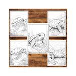 Carti si Birotica - Carti - Carti pentru copii - Carti de colorat - Carte de colorat, 50 de ilustratii, Broaste Testoase, 106 pagini, A5 - Infinity.ro