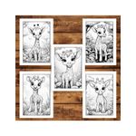 Carti si Birotica - Carti - Carti pentru copii - Carti de colorat - Carte de colorat, 50 de ilustratii, Girafe dragute, 106 pagini, A5 - Infinity.ro