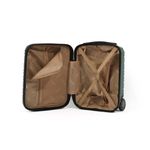 Sport si Outdoor - Articole de voiaj - Trolere - Ella Icon Troler Assign verde 40x30x20 cm - Infinity.ro