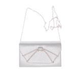 Fashion, accesorii si bijuterii - Femei - Accesorii femei - Genti si rucsacuri femei - Geanta plic, de dama, din material sintetic, cu sclipici, ButicCochet, 20x12x6 cm, Argintiu - GND1137 - Infinity.ro