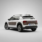 Auto si Moto - Intretinere auto - Stergatoare - Brat si Lamela Stergator Spate Citroën C4 Cactus (2014-) - 255mm, Mammooth RAW522 - Infinity.ro