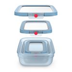 Casa si Gradina - Bucatarie si vesela - Organizare si depozitare bucatarie - Cutii alimentare - Set de 5 caserole Tefal ONEClick N1230210, 0.5 / 1.2 / 2.3 L, plastic, inchidere 100% etansa, albastru - Infinity.ro
