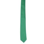 Fashion, accesorii si bijuterii - Barbati - Accesorii barbati - Cravate si papioane barbati - Set cravata si batista, Buticcochet, din material sintetic, 148 x 6 cm, Verde - CRV342 - Infinity.ro