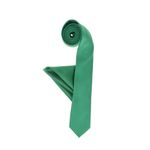 Fashion, accesorii si bijuterii - Barbati - Accesorii barbati - Cravate si papioane barbati - Set cravata si batista, Buticcochet, din material sintetic, 148 x 6 cm, Verde - CRV342 - Infinity.ro