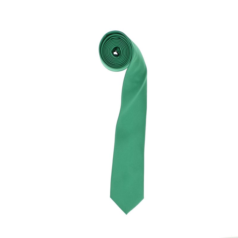 Fashion, accesorii si bijuterii - Barbati - Accesorii barbati - Cravate si papioane barbati - Set cravata si batista, Buticcochet, din material sintetic, 148 x 6 cm, Verde - CRV342 - Infinity.ro