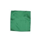 Fashion, accesorii si bijuterii - Barbati - Accesorii barbati - Cravate si papioane barbati - Set cravata si batista, Buticcochet, din material sintetic, 148 x 6 cm, Verde - CRV342 - Infinity.ro