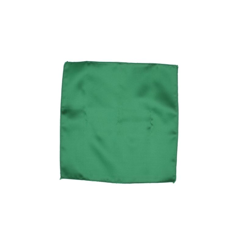 Fashion, accesorii si bijuterii - Barbati - Accesorii barbati - Cravate si papioane barbati - Set cravata si batista, Buticcochet, din material sintetic, 148 x 6 cm, Verde - CRV342 - Infinity.ro