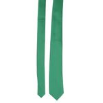 Fashion, accesorii si bijuterii - Barbati - Accesorii barbati - Cravate si papioane barbati - Set cravata si batista, Buticcochet, din material sintetic, 148 x 6 cm, Verde - CRV342 - Infinity.ro