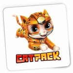 PC, gaming si accesorii - Periferice PC - Mousepad - Mousepad Paw Patrol Cat Pack Wild Patrula Catelusilor, CoolTrend, 21x19cm - Infinity.ro