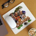 PC, gaming si accesorii - Periferice PC - Mousepad - Mousepad The Croods Actiune in Epoca de Piatra Familia Crood CoolTrend, 21x19cm - Infinity.ro