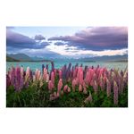 Casa si Gradina - Decoratiuni - Tablouri - Tablou Canvas, "Lupini multicolori la marginea lacului", 39 x 26 cm - Infinity.ro
