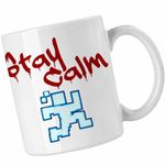 Casa si Gradina - Bucatarie si vesela - Cani si pahare - Cani si cesti - Cana Fnaf Stay Calm Run Five Nights at Freddy Horror Halloween CoolTrend, alba, 330ml - Infinity.ro