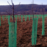 Casa si Gradina - Gradinarit si plante - Sere si solarii - Plasa protectie pomisori Diametru 10 cm x 50 m - Infinity.ro