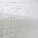 Casa si Gradina - Gradinarit si plante - Sere si solarii - Plasa antiinsecte 2 x 100m - Infinity.ro