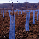 Casa si Gradina - Gradinarit si plante - Sere si solarii - Plasa protectie pomisori 10 cm- albastra - Infinity.ro