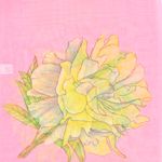 Fashion, accesorii si bijuterii - Femei - Accesorii femei - Esarfe si fulare femei - Esarfa, de dama, Buticcochet, din poliester, imprimeu floral, 50x150 cm, Roz pal - ES2177 - Infinity.ro