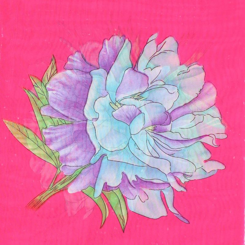 Fashion, accesorii si bijuterii - Femei - Accesorii femei - Esarfe si fulare femei - Esarfa, de dama, Buticcochet, din poliester, imprimeu floral, 50x150 cm, Fuscia - ES2093 - Infinity.ro